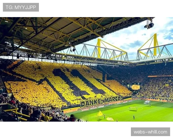 比赛花絮：塞尔塔主场球迷用巨型TIFO致敬即将退役的队长马略。